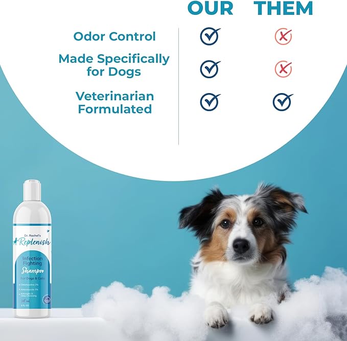Replenish Anti Itch Dog Shampoo with Ketoconazole and Chlorhexidine for Dog Skin Irritation Treatment & Itchy Skin Relief - Dr. Rachel’s Veterinary Formula Dog Shampoo with Cucumber Melon Scent - 8 oz