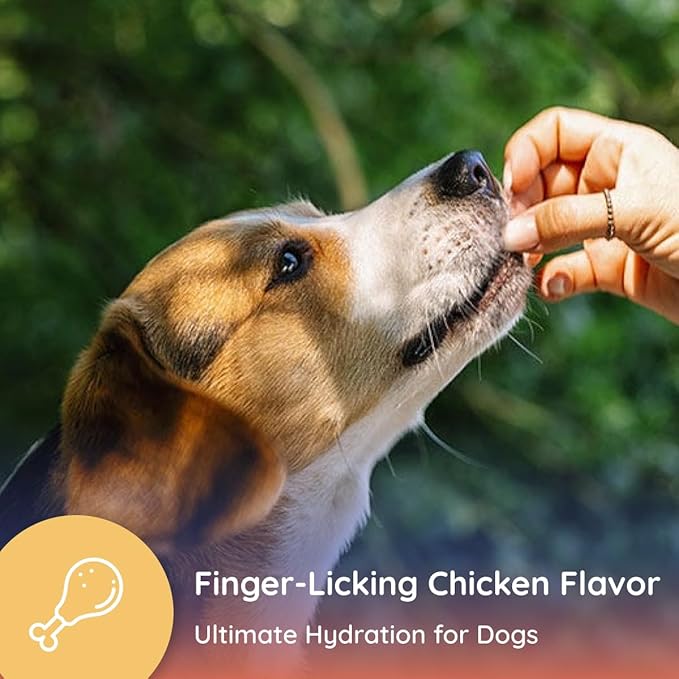 Petralyte Dog Electrolytes and Joint Supplement | Hydration Support for Dogs w/Glucosamine, Chondroitin & More | Electrolytes for Dogs with Prebiotics | for Chicken Lovers | 16 Packets