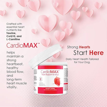 Heart Support Supplement for Dogs-Vet-Formulated, Antioxidant-Rich-L-Taurine, L-Carnitine,EPA,DHA,CoQ10-Aids Circulatory Strength, Cardiovascular Support, Heart Muscle Function-USA Made-60 Soft Chews
