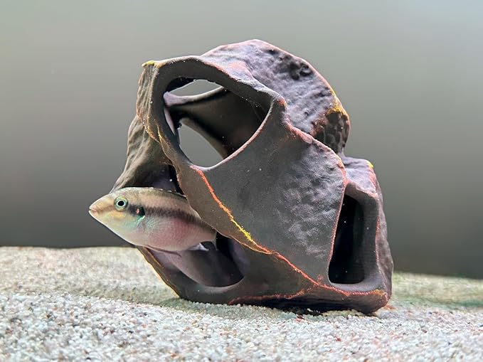 Plecoceramics Aquarium Ceramic Decorations Cave Betta Stone Decor - Aquarium Fish Tank Hideway Decor for breeding Cichlids Plecos Betta Toys Hideout (Boulder)