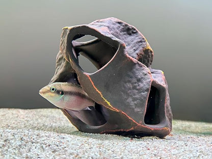 Plecoceramics Aquarium Ceramic Decorations Cave Betta Stone Decor - Aquarium Fish Tank Hideway Decor for breeding Cichlids Plecos Betta Toys Hideout (Boulder)