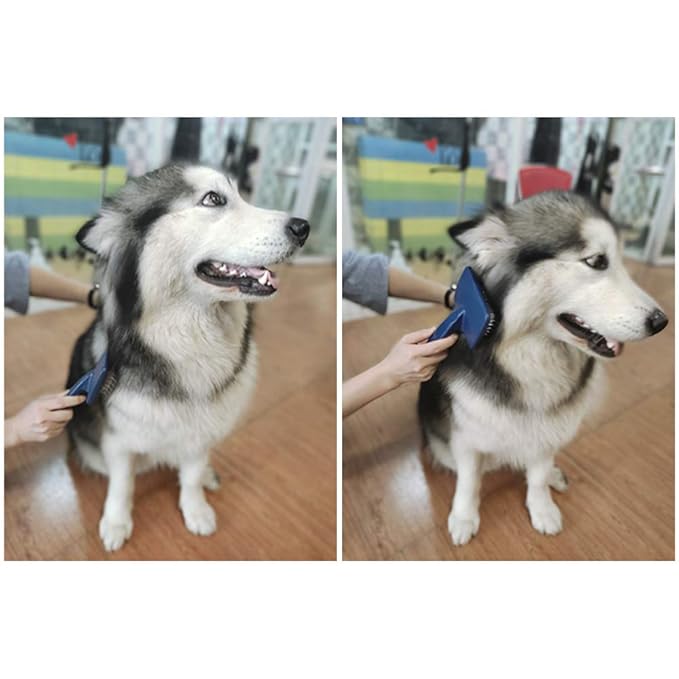 Dog Slicker Brush for Medium to Long Haired Dogs Labradoodles Grooming Brush,Long Pin Slicker Dog Brush for Goldendoodles Poodles Doodles, Removes loose Hair,Undercoat(1")