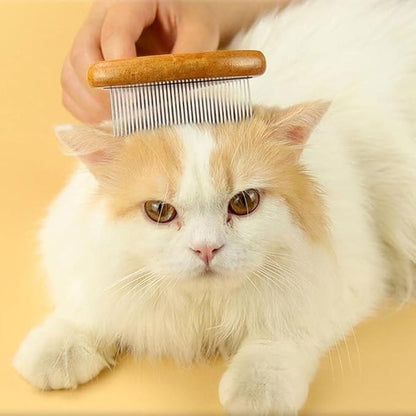 Beaupretty 4pcs pet comb undercoat rake for cat shedding comb with handle dog brush dog grooming rake dog hair remover Puppy Grooming Comb Stainless steel bridegroom Accessories Metal