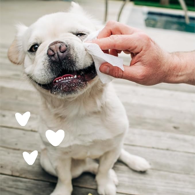 earthbath, Hypo-Allergenic Dog Eye Wipes - Fragrance Free Tear Stain Remover for Dogs, Made in USA, 100% Cruelty Free Eye Wipes for Dogs, All Natural Pet Eye Wipes, Cat & Dog Wipes - 30 Count (1 Pack)