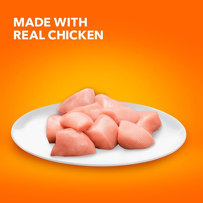 IAMs Proactive Health Dry Food for Cats - Kitten - Original - 3.18kg