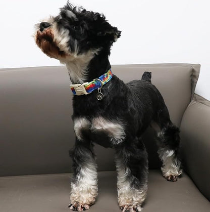 DOGWONG Cotton Dog Collar, Spring Summer Dogs Collar Durable Soft Natural Fabric Pet Dog Collars for Small Medium Large Dogs