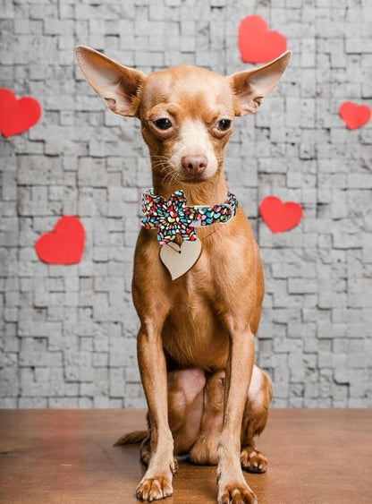 Unique Style Paws Valentine's Day Dog Collar with Bow Colorful Heart Love Dog Collars for Small Medium Large Dog New (M, Heart Flower)