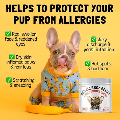 Allergy Relief Chews for Dogs & Immune & Digestive Supplement with Wild Salmon Oil Kelp Colostrum Turmeric Probiotics & Bee Pollen for Seasonal Allergies Anti Itch, Skin Hot Spots 30 Soft Treats
