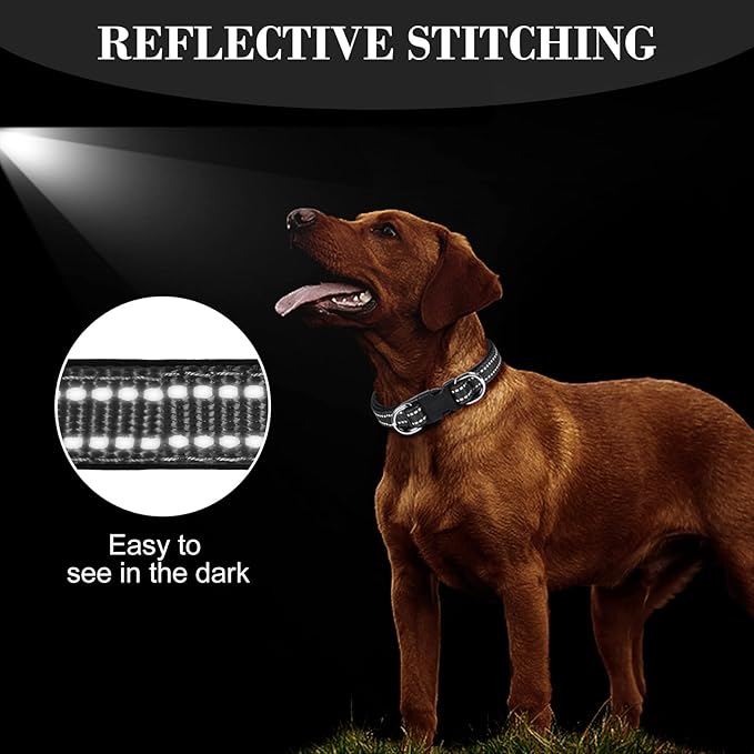 AUAUY Reflective Nylon Dog Collars, Adjustable Classic Pet Collars with Soft Neoprene Padding, Double Security Dual D-Ring and Quick Release Buckle for Small Puppy, Medium and Large Dogs (Black-S)
