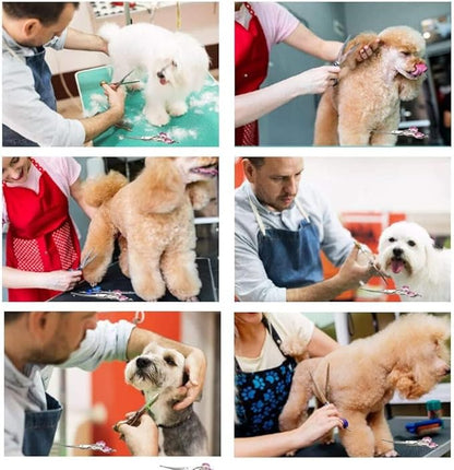 Dog Grooming Scissors Curved 7 Inch Stainless Steel with Safety Round Tips Professional Pet Grooming Shears for Dogs and Cats