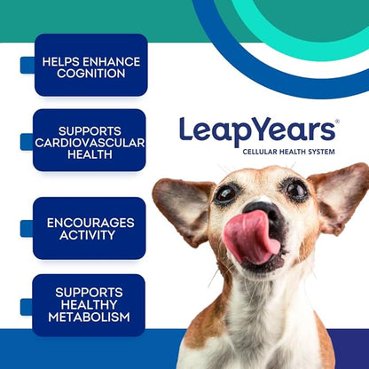 Leap Years Soft Chew Dog Supplement – Supports Healthy Aging, Cognition & Vitality; Veterinarian-Formulated for Brain, Heart & Muscle Health; Powerful NAD Booster & Senolytic Formula, Patent-Pending