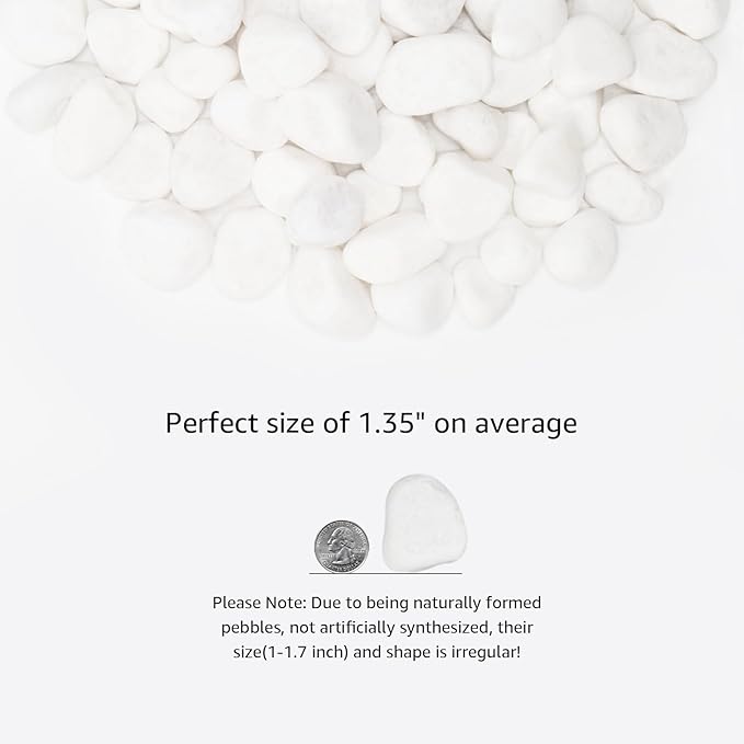 White Natural River Rocks, 1-1.5 Inch Decorative Stones for Plants, Garden, and Landscaping – 20LB, Ideal for Fish Tanks, Vases, Crafting, Home Decor, and Outdoor Landscaping