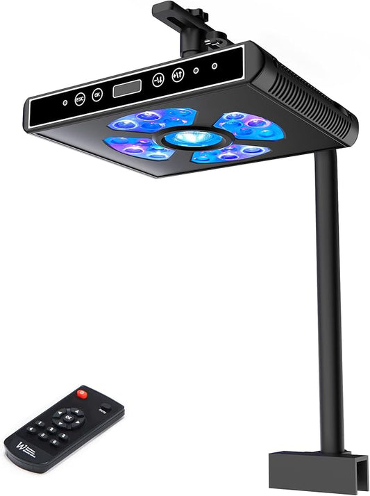 Aquarium Lights-100 watt 5 Channels Sunrise Sunset Moonlight Reef Lights for Coral SPS LPS Saltwater Tank(Black) (A100, WATTS, 100)