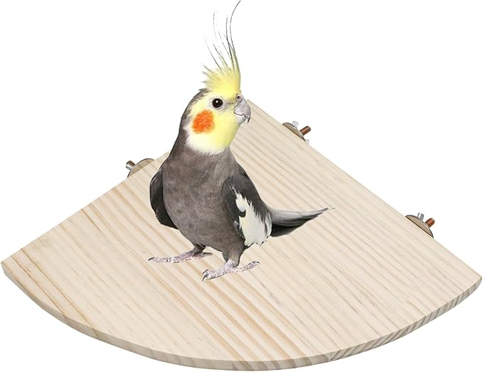 11.8 × 11.8 Inches Large Bird Perch Stand Platform, Natural Wooden Small Animals Cage Accessories, Rectangle Stand Perch Shelf for Parrot Parakeet Cockatiel Rat Hamster Guinea Pig Conure Chinchillas