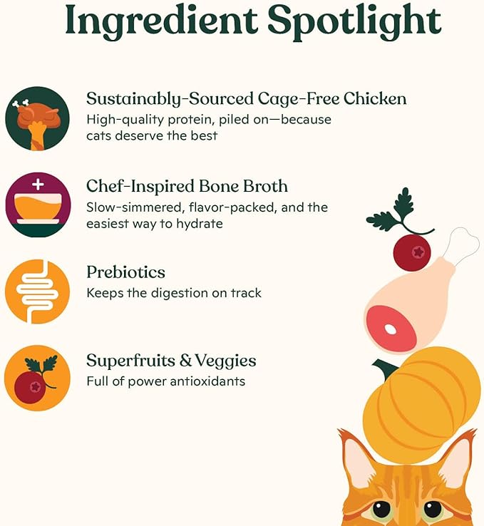 Made by Nacho Dry Cat Kibble 2lb Bag, High Protein and Grain-Friendly Premium Cat Food, Cage-Free Chicken & Pumpkin Recipe, Infused with Bone Broth for Hydration, Limited Ingredients, Single Bag