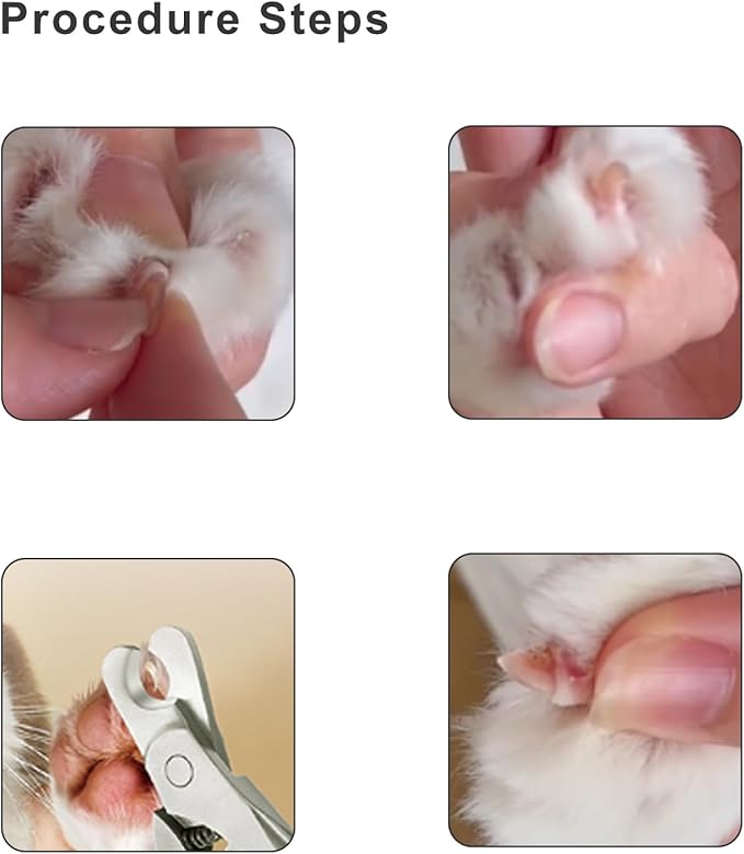 Dog Nail Trimmers & Cat Nail Clipper, Heavy Duty Stainless Steel Claw Clippers for Large Dogs & Indoor Cats, Dog Toenail Clippers with Nail File - Professional Grooming Tool for Dogs, Cats, Small Pets