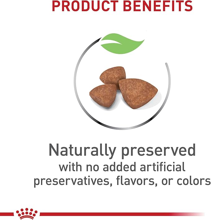 Royal Canin Size Health Nutrition X-Small Breed Dry Puppy Food, Supports Brain Development, Immune Support and Digestive Health, 3 lb Bag