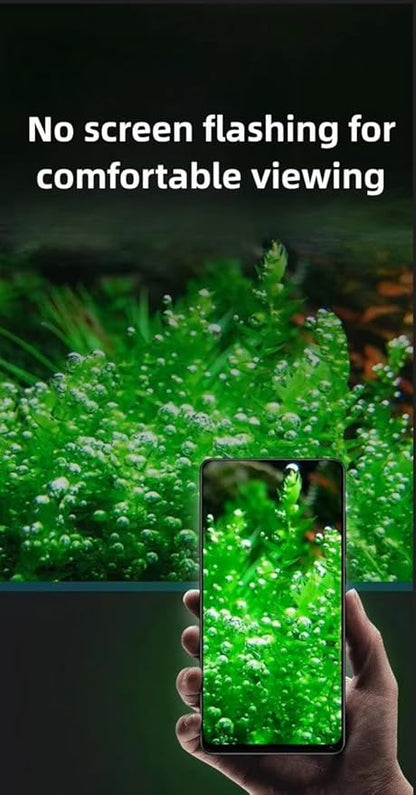 Clip-On Aquarium Light 10W Full Spectrum LED Nano Fish Tank Light with Timer & Dimmer and 3 Lighting Modes for Freshwater Plants & Tropical Fish Ideal for 8-20 Inch Tanks (3-8 Gallons)