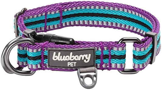 Blueberry Pet 3M Reflective Dog Collars | Adjustable Dog Collar w/Multi-Colored Stripe - Violet and River Blue | Nylon Pet Collars for Dogs & Refflective Dog Collar for Medium Dogs