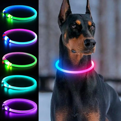 Light Up Dog Collars, Multi-Color USB Rechargeable Dlitk LED Dog Collar 1 Count, TPU Cuttable Size Glow Collar for Dogs, Dog Collar Light, Please Do Not Use Fast Charging (Blue+Pink)