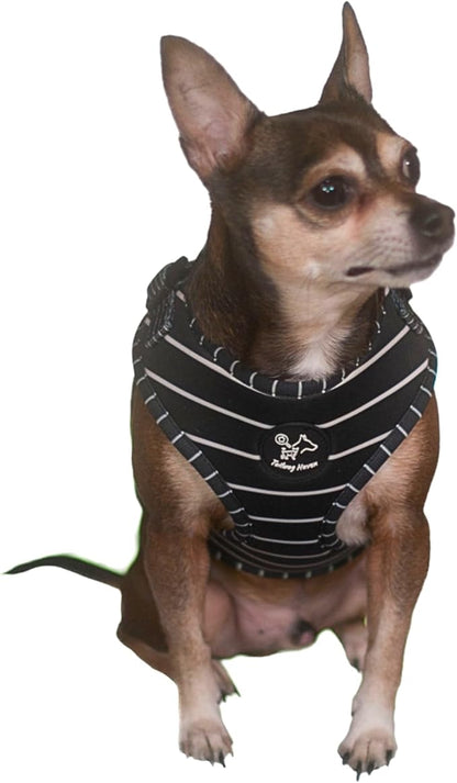 Dog Harness and Leash Set, No Pull Adjustable Soft Padded Vest, No Choke (Small, White Stripe)