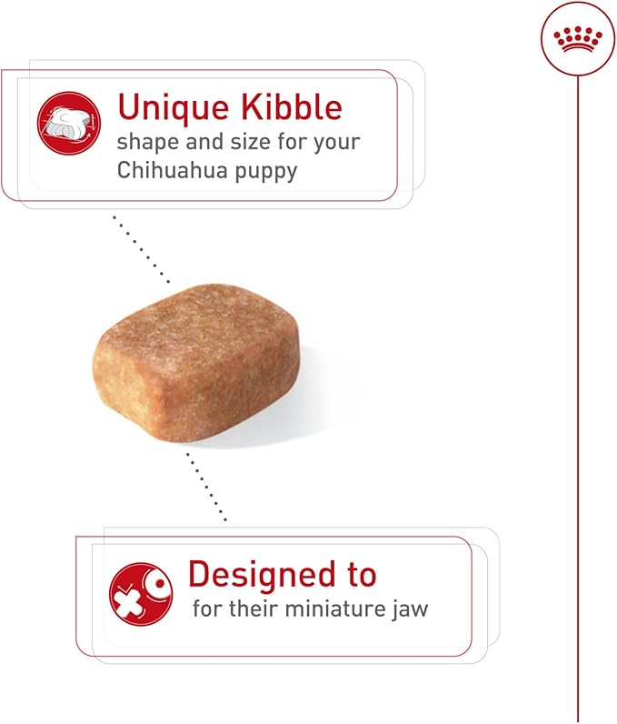 Royal Canin Breed Health Nutrition Chihuahua Puppy Dry Dog Food, 2.5 lb Bag