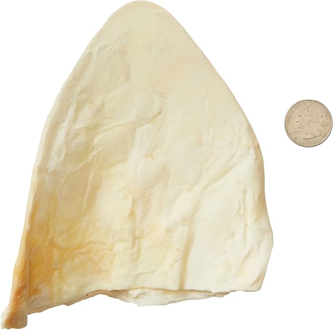 Amazon Brand – Wonder Bound Cow Ears Dog Treats, Pack of 12, Beef, Highly Digestible, Minimally Processed