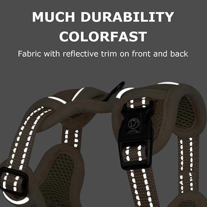 Dog Harness Small Sized Dog, No Pull Pet Harness with 2 Leash Clips, Adjustable Soft Padded Dog Vest Harnesses, Reflective No-Choke Pet Oxford Vest