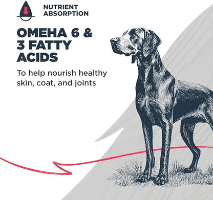 Blackwood Grain Free Dry Dog Food, Salmon & Field Pea Recipe, 4.5 Pound Bag for All Life Stages, Slow Cooked with Vitamins & Minerals for a Balanced Diet