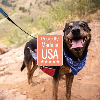 Smart Cookie Salmon Jerky Dog Treats - DHA, Omega Strips for Dogs & Puppies with Allergies, Sensitive Stomachs with Wild Caught Alaskan Salmon- Dehydrated, Grain Free, Made in USA - 3oz Bag, Pack of 3