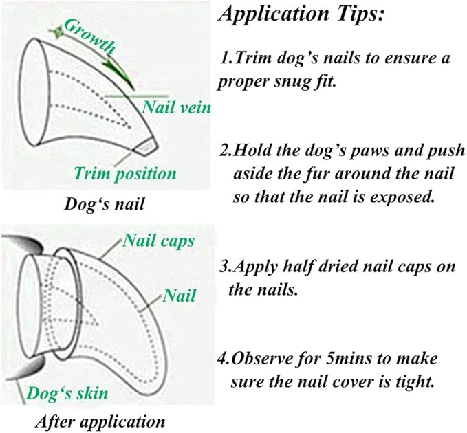100pcs Dog Nail Caps Dog Caps Dog Nail Covers for Pet Dog Paws with 5pcs Adhesive Glue+5pcs Applications and Instructions