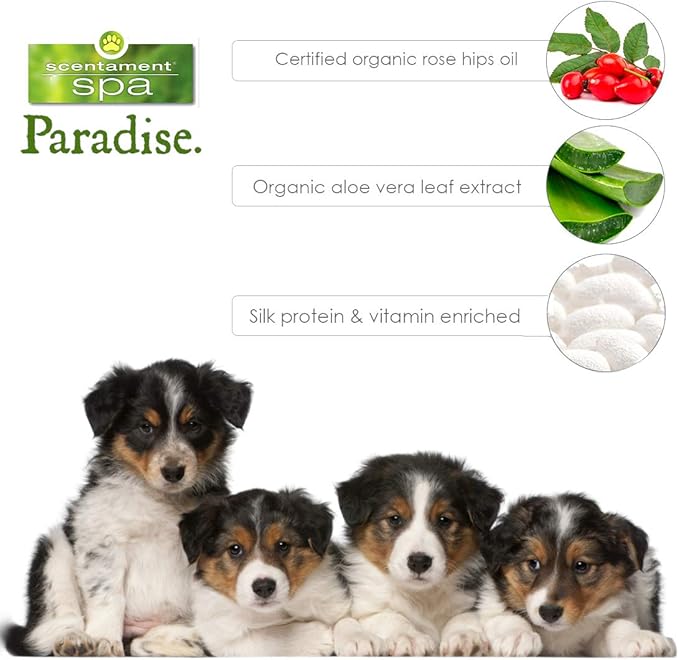 Best Shot Scentament Spa Puppy Conditioner, Mandarin Jasmine Honey Fragrance, pH Balanced and Hypoallergenic Skin Care Product for Any Dog, Cat, Puppy, and Kitten, 1 Gallon