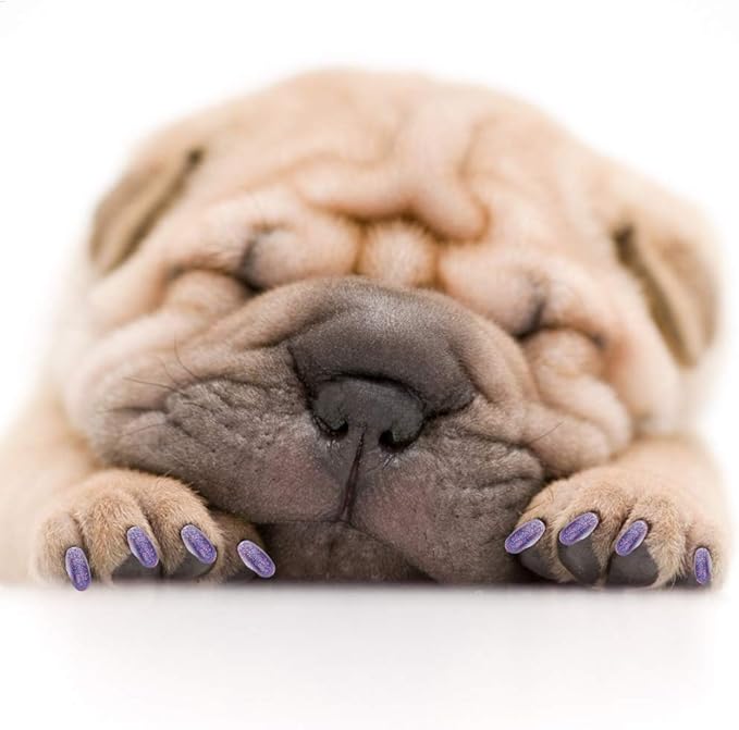 100PCS Dog Nail Caps, Pet Dog Soft Claws Nail Cover Dog Claws Glue Applicators Nail Cover for Cat Claws(L-purple)