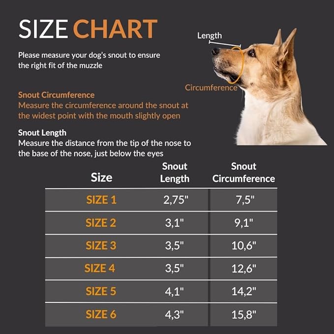 Dog Muzzle Soft Rubber Basket Muzzle for Large Dogs- Dog Muzzle for Medium Sized Dogs- Muzzle for Small Dogs - Prevents Biting, Scavenging- Allows Panting, Drinking- Bozales para Perros- Mouth Guard