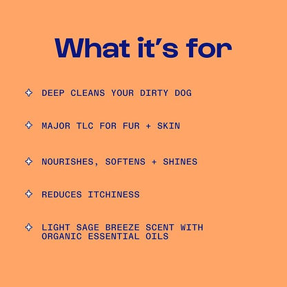 Dirty Dog Beauty Club - Disco Dog Shampoo & Conditioner - Organic Essential Oils, Vet & Scientist Formulated - Clean, Vegan, Paraben & Sulfate-Free - 300 ml (10 oz), Sage Breeze Scent