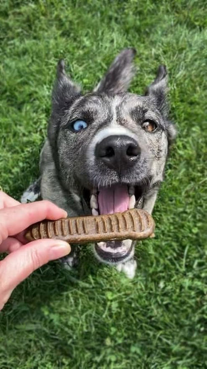 Jiminy's Dental Chews for Dogs, Cinnamon Flavor, Scientifically Proven to Improve Oral Health, Dental Bones Clean Teeth, Fight Bad Breath, and Removes Plaque and Tartar, Medium, 12ct (Pack of 1)