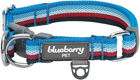 Blueberry Pet 3M Reflective Dog Collars | Adjustable Dog Collar w/Multi-Colored Stripe - Azure Blue and Raspberry Red | Nylon Pet Collars for Dogs & Refflective Dog Collar for X-Large Dogs