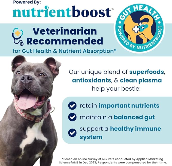Solid Gold NutrientBoost Meal Topper for Dogs - Plasma Infused Dog Food Topper & Treats - Gut Health & Immune System Support - Grain Free Additive with Vitamins, Minerals, Protein & Amino Acids - 1 Lb