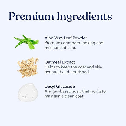 Honest Paws Dog Dry Shampoo - Waterless No Rinse Spray Formula Reducing Itch Cleanse Hydrate Nourish Dry Skin and Smelly Coat Help Decrease Odor Shedding and Allergies - Oatmeal & Lavender - 16 oz