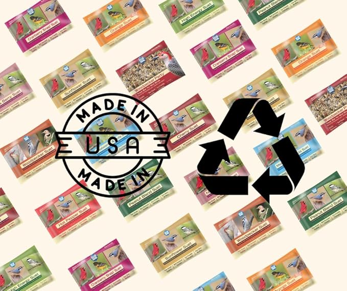 Blue Seal Nut Feast Suet Cakes for Wild Birds | No Mess Suet Feed with Variety of Nuts | Food for Woodpeckers, Cardinals, Siskins & Sparrows | Use with Suet Feeder | 11oz Seed Cake (6 Variety Pack)