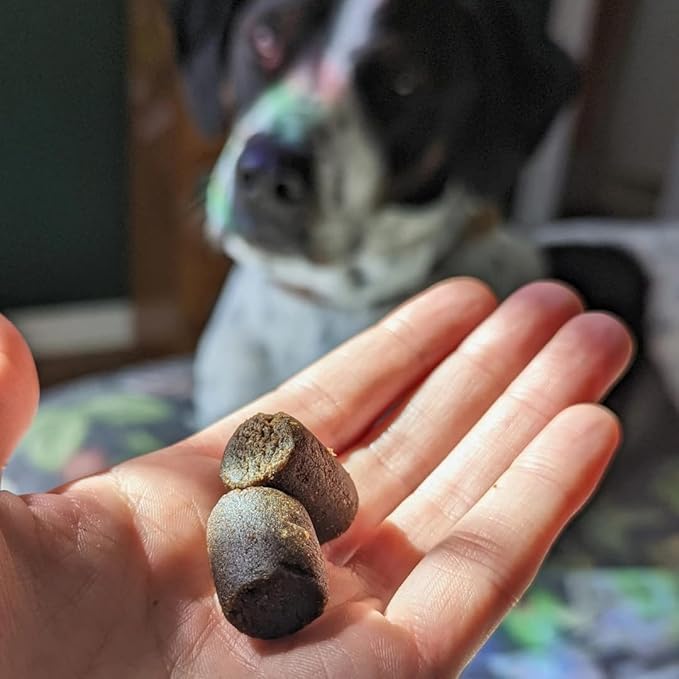 Hemp Well Hemp Relief Dog Soft Chews  Supports Joint Health in Dogs and Relieves Pain and Inflammation from Everyday Activities, Organically Sourced (2 Pack)