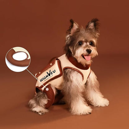 Dog Lift Harness Dog Carrier VES Harness Adjustable Leash with Small Puppy Treat Bag,Fits Most Cars,M