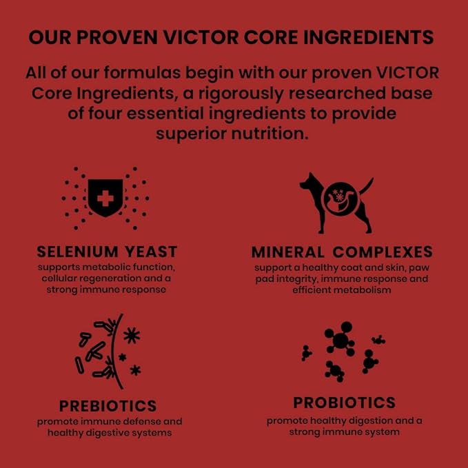 Victor Super Premium Dog Food  Classic Crunchy Dog Treats with Lamb Meal  Gluten-Free Treats for Small, Medium and Large Breed Dogs, 28oz