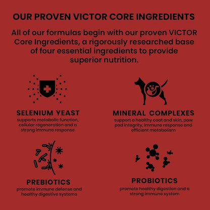 Victor Super Premium Dog Food  Classic Crunchy Dog Treats with Lamb Meal  Gluten-Free Treats for Small, Medium and Large Breed Dogs, 28oz (Pack of 2)