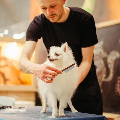 2pcs Grooming Comb for Pets, Solid Wood Cat Combs with Narrow Rounded-Tip Steel Teeth Pet Hair Comb Metal Flea Lice Comb for Cats Dogs Small & Medium Pets Tangled Hair