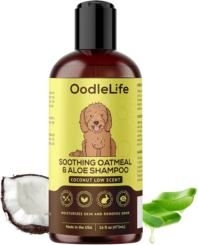 Dog Shampoo and Conditioner Aloe Oatmeal + Coconut 16 fl oz - Natural Dog Shampoo Sensitive Skin Dog Breeds, Moisturising, Dog Shampoo for Smelly Dogs, Goldendoodles