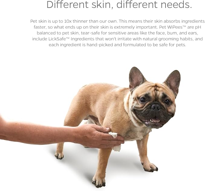 Pet Parents® Pet WiPees Dog All Purpose + Allergy Dog Wipes, Pet Wipes for Dogs, Puppy Wipes & Paw Wipes, Large Dog Wipes (100 Count (Pack of 1), Natural)