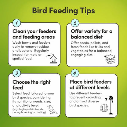 Mycelium Organic Large Hookbill Plus Bird Food (5 LB Bag) | Premium Daily Bird Seed for Macaws, Cockatoos, & Amazons | High-Protein, Vitamin-Fortified Skin & Feather Support | Non-GMO & USA-Made