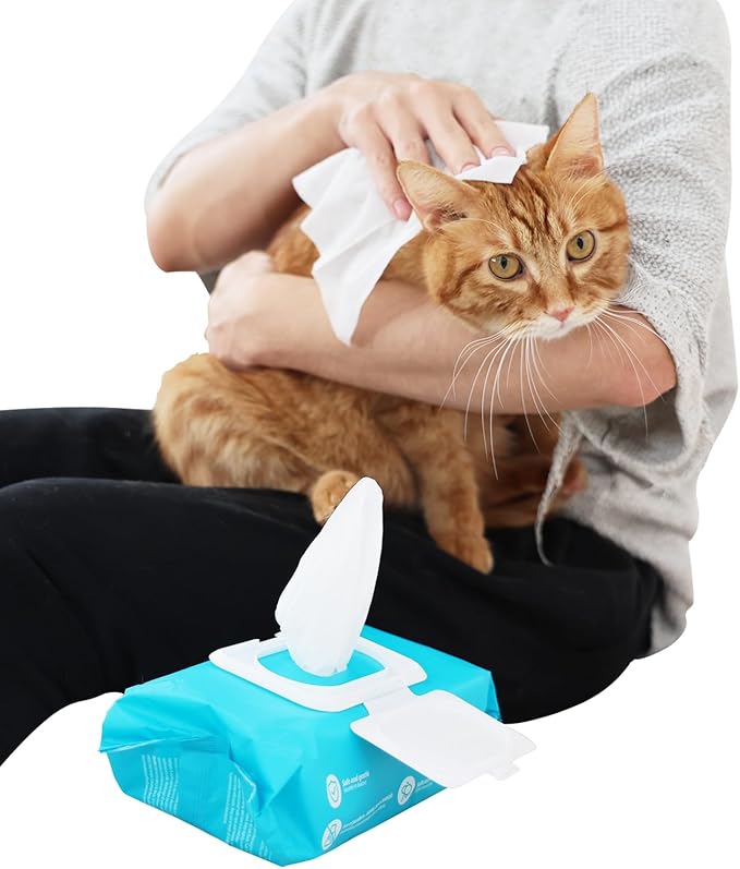 ALL FOR PAWS Pet Wipes - Coconut Vanilla Scent, 100 Wipes (4 Packs) | Ideal for Cats and Dogs, All-Over Clean with Natural Nourishing Ingredients