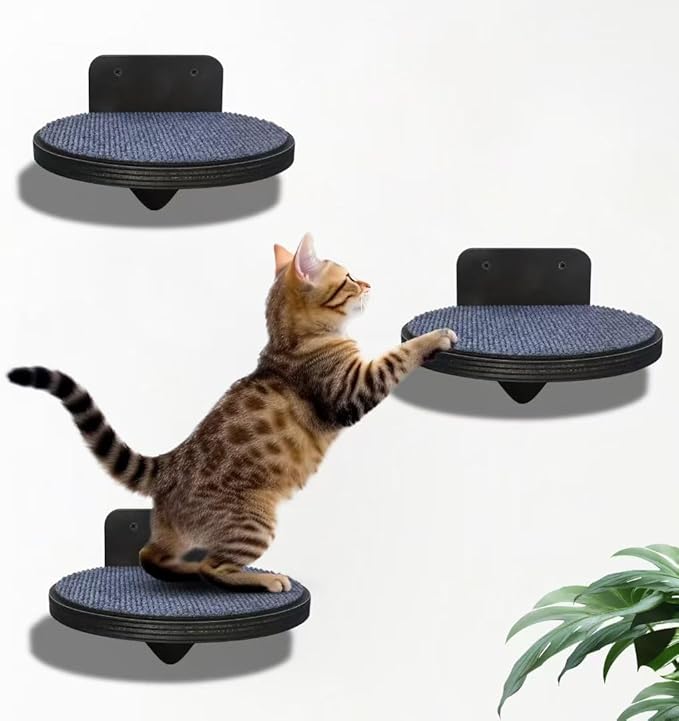 3 Large Steps & perches, Cat Climber Furniture for Indoor Cats, Modern Climbing Gym Jungle Design, Mount Scratcher - Decor Furniture, Easy Installation